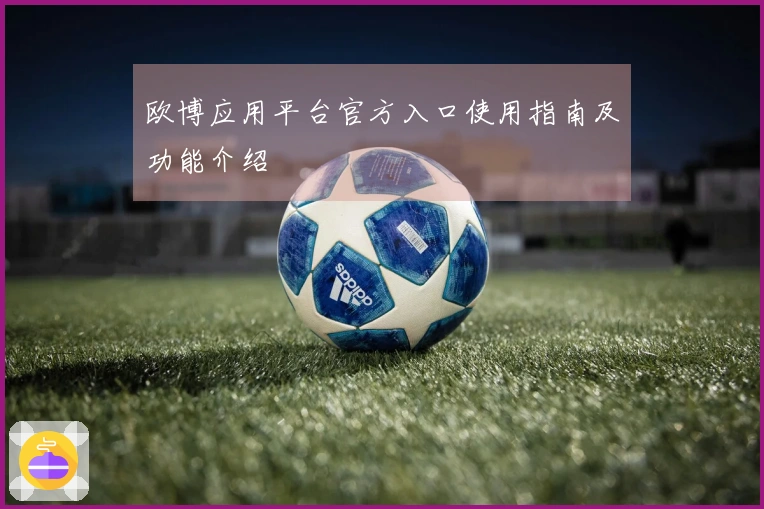 欧博应用平台官方入口使用指南及功能介绍