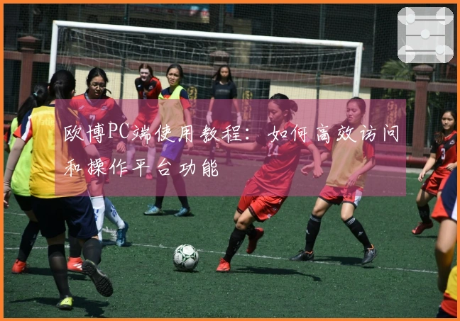 欧博PC端使用教程：如何高效访问和操作平台功能
