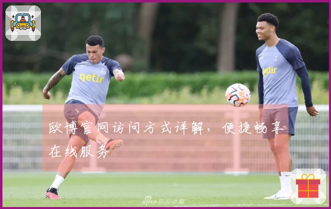 欧博官网访问方式详解，便捷畅享在线服务