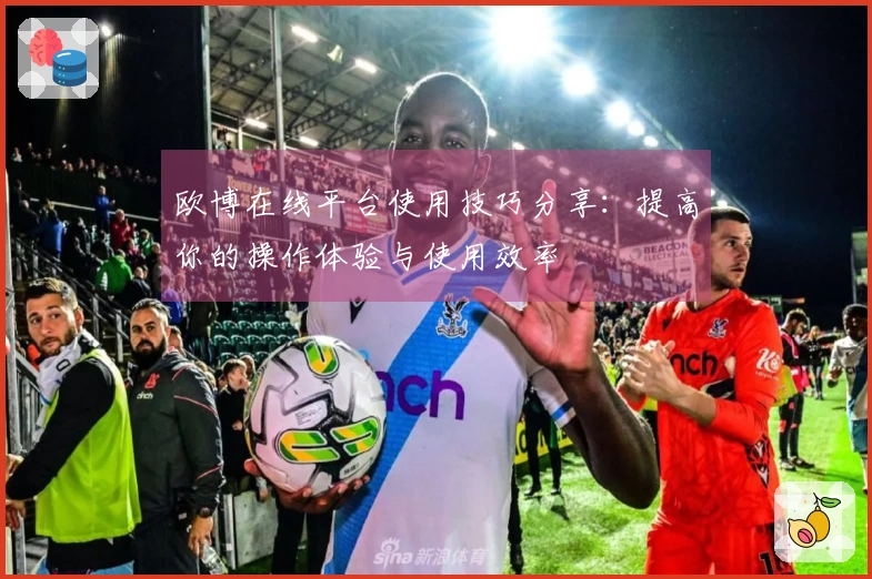 欧博在线平台使用技巧分享：提高你的操作体验与使用效率
