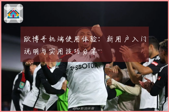 欧博手机端使用体验:新用户入门说明与实用技巧分享