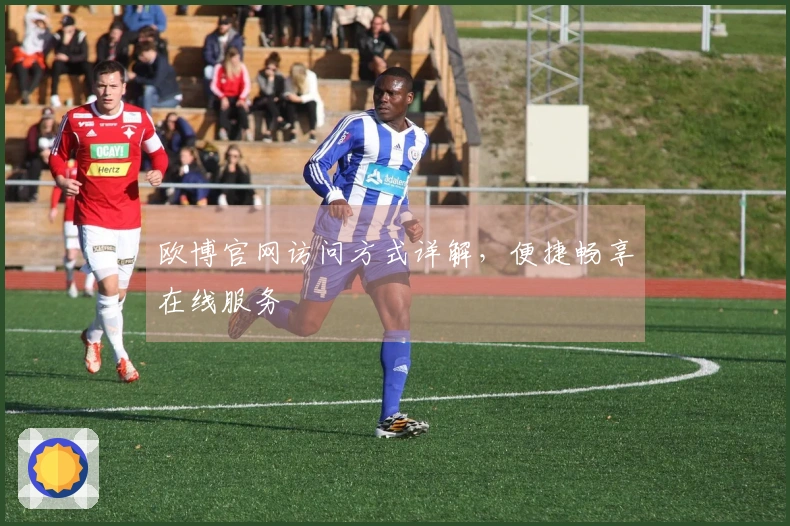 欧博官网访问方式详解，便捷畅享在线服务